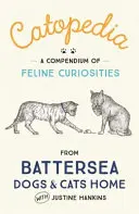 Catopedia - Una fascinante colección de curiosidades felinas - Catopedia - A fascinating collection of feline curiosities