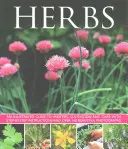Hierbas - Herbs