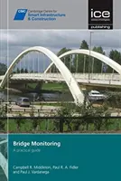 Vigilancia de puentes [Serie CSIC] - Guía práctica - Bridge Monitoring [CSIC Series] - A practical guide