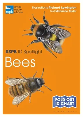 Rspb Id Spotlight - Abejas - Rspb Id Spotlight - Bees