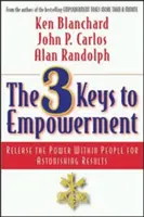 Las 3 claves del empoderamiento: Libere el poder interior de las personas para obtener resultados asombrosos - The 3 Keys to Empowerment: Release the Power Within People for Astonishing Results