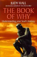 El libro del porqué - The Book of Why