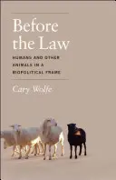 Ante la ley: Humanos y otros animales en un marco biopolítico - Before the Law: Humans and Other Animals in a Biopolitical Frame