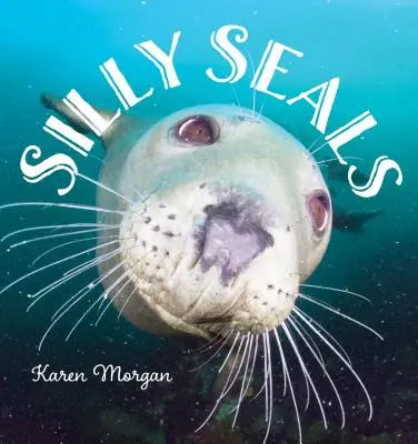 Sellos Tontos - Silly Seals