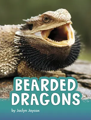 Dragones Barbudos - Bearded Dragons