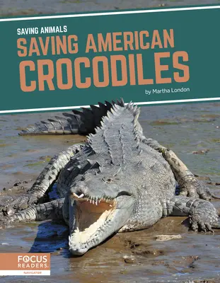 Salvar a los cocodrilos americanos - Saving American Crocodiles