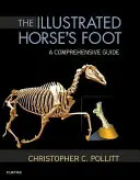 La pata de caballo ilustrada: Una guía completa - The Illustrated Horse's Foot: A Comprehensive Guide