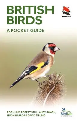 Aves británicas: Guía de bolsillo - British Birds: A Pocket Guide