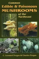 Setas Comestibles y Venenosas Comunes del Noreste - Common Edible & Poisonous Mushrooms of the Northeast