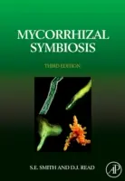 Simbiosis micorrícica - Mycorrhizal Symbiosis
