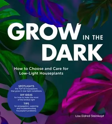 Cultivar en la oscuridad: Cómo elegir y cuidar plantas de interior con poca luz - Grow in the Dark: How to Choose and Care for Low-Light Houseplants