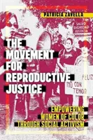 El Movimiento por la Justicia Reproductiva: Empoderamiento de las mujeres de color a través del activismo social - The Movement for Reproductive Justice: Empowering Women of Color Through Social Activism