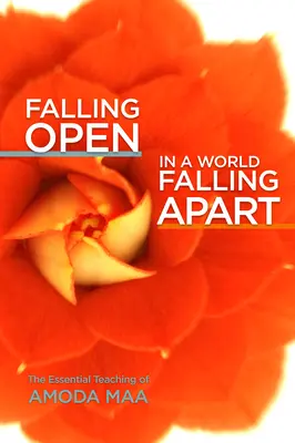 Abrirse en un mundo que se desmorona: La enseñanza esencial de Amoda Maa - Falling Open in a World Falling Apart: The Essential Teaching of Amoda Maa