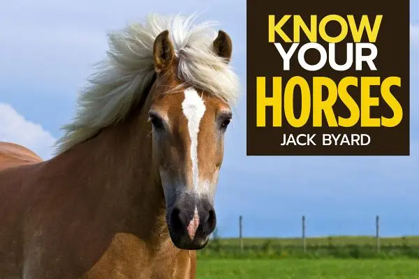 Conozca sus caballos - Know Your Horses