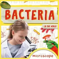 Bacterias - Bacteria