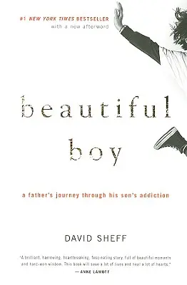 Beautiful Boy: El viaje de un padre a través de la adicción de su hijo - Beautiful Boy: A Father's Journey Through His Son's Addiction