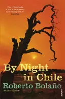 De Noche En Chile - By Night in Chile