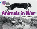 Animales en guerra - Animals in War