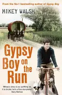 El gitano a la fuga - Gypsy Boy on the Run