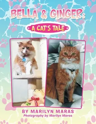 Bella & Ginger: una historia de gatos - Bella & Ginger: a Cat's Tale