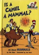 ¿Es un camello un mamífero? - Is a Camel a Mammal?