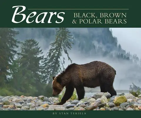 Osos: Osos negros, pardos y polares - Bears: Black, Brown & Polar Bears