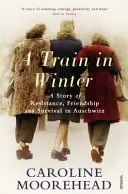 Tren en invierno - Una historia de resistencia, amistad y supervivencia en Auschwitz - Train in Winter - A Story of Resistance, Friendship and Survival in Auschwitz