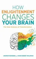 Cómo la iluminación cambia tu cerebro - La nueva ciencia de la transformación - How Enlightenment Changes Your Brain - The New Science of Transformation