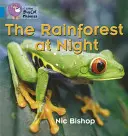 La selva de noche - The Rainforest at Night