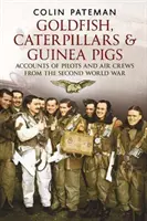 Goldfish Caterpillars & Guinea Pigs - Relatos de pilotos y tripulaciones aéreas de la Segunda Guerra Mundial - Goldfish Caterpillars & Guinea Pigs - Accounts of Pilots and Air Crews from World War II