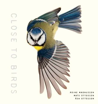 Cerca de las aves: Una mirada íntima a nuestros amigos emplumados - Close to Birds: An Intimate Look at Our Feathered Friends