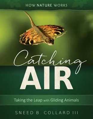 Coger aire: Dar el salto con animales que planean - Catching Air: Taking the Leap with Gliding Animals