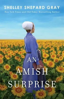 Una Sorpresa Amish, 2 - An Amish Surprise, 2