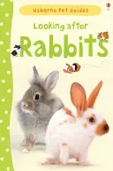 Cuidar de los conejos - Looking after Rabbits
