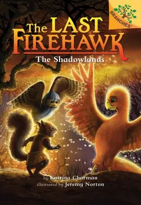 Las Tierras Sombrías: Un libro de ramas (El último Firehawk #5) (Library Edition), 5 - The Shadowlands: A Branches Book (the Last Firehawk #5) (Library Edition), 5