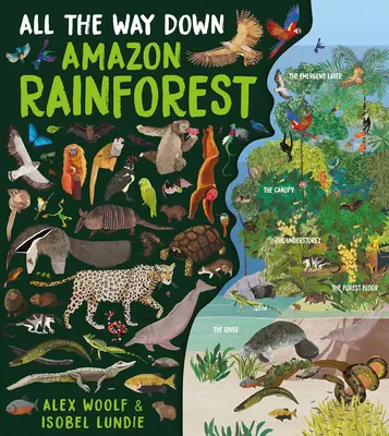 All the Way Down: selva amazónica - All the Way Down: Amazon Rainforest