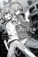 A Certain Magical Index, Vol. 19 (Light Novel)