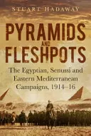 Pyramids and Fleshpots - The Egyptian, Senussi and Eastern Mediterranean Campaigns, 1914-16 (Pirámides y carnicerías - Las campañas de Egipto, el Senegal y el Mediterráneo oriental, 1914-16) - Pyramids and Fleshpots - The Egyptian, Senussi and Eastern Mediterranean Campaigns, 1914-16