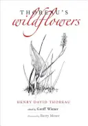 Las flores silvestres de Thoreau - Thoreau's Wildflowers