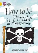 Cómo ser un Pirata en 10 Fases Fáciles - How to Be a Pirate in 10 Easy Stages