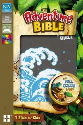 Niv, Biblia Adventure, Piel suave, Gris, Interior a todo color - Niv, Adventure Bible, Leathersoft, Gray, Full Color Interior