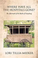 ¿Dónde han ido todos los hospitales?: Las secuelas de la batalla de Gettysburg - Where Have All the Hospitals Gone?: The Aftermath of the Battle of Gettysburg