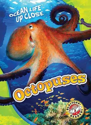 Pulpos - Octopuses