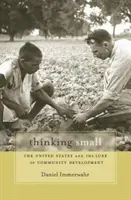 Pensar en pequeño: Estados Unidos y el atractivo del desarrollo comunitario - Thinking Small: The United States and the Lure of Community Development