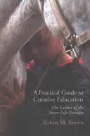 Guía práctica de pedagogía curativa: La escalera de los siete procesos vitales - A Practical Guide to Curative Education: The Ladder of the Seven Life Processes