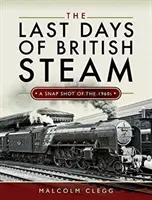 Los últimos días del vapor británico: Una instantánea de los años 60 - The Last Days of British Steam: A Snapshot of the 1960s