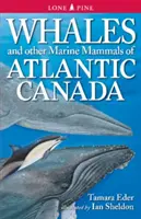 Ballenas y otros mamíferos marinos del Canadá atlántico - Whales and Other Marine Mammals of Atlantic Canada