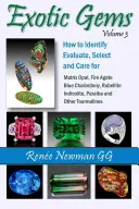 Exotic Gems - Volume 3: How to Identify, Evaluate, Select & Care for Matrix Opal, Fire Agate, Blue Chalcedony, Rubellite, Indicolite, Paraiba & Other