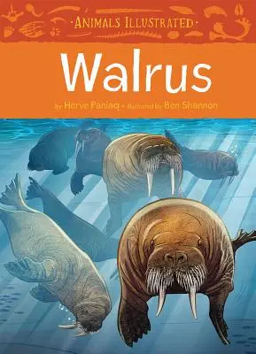 Animales Ilustrados: Walrus - Animals Illustrated: Walrus