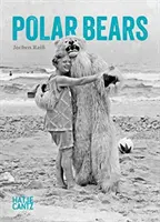 Osos polares - Polar Bears